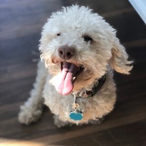 Meet your Posher, Katherine